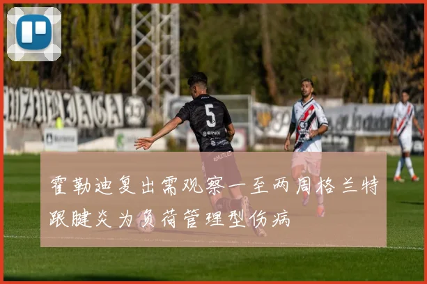 霍勒迪复出需观察一至两周格兰特跟腱炎为负荷管理型伤病